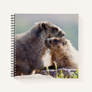 Cuaderno Marmota Madre con Bebé