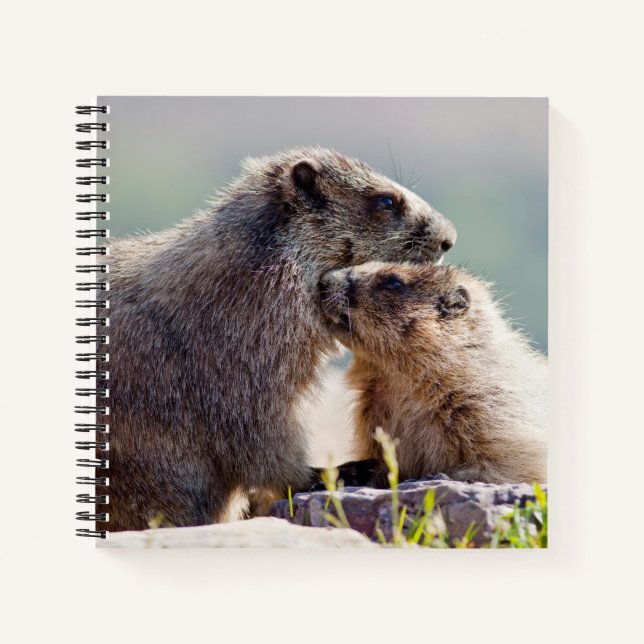 Cuaderno Marmota Madre con Bebé (Anverso)