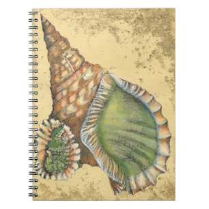 Cuaderno Marrón y verde