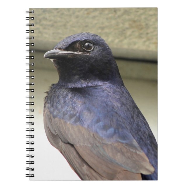 Cuaderno Martin púrpura majestuoso (Frente)