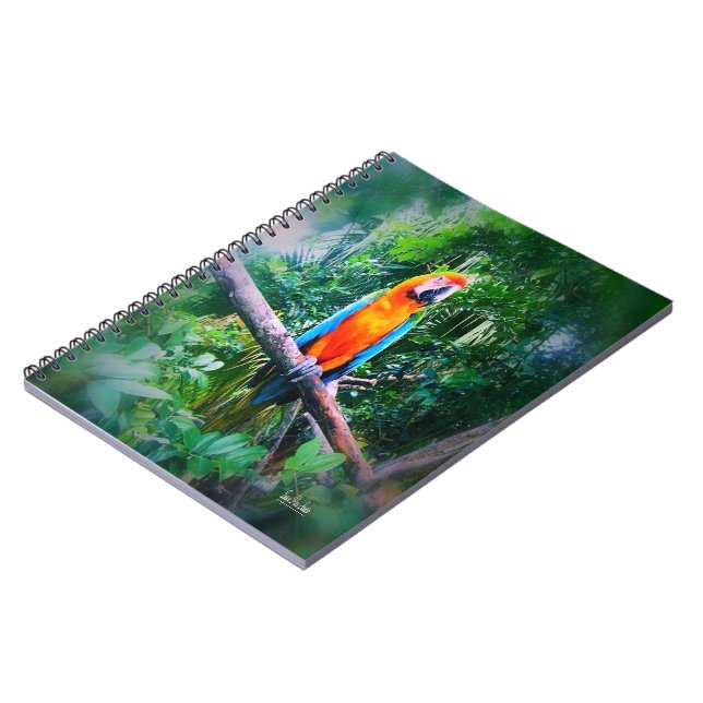 Cuaderno Martinica Macaw (Lado Izquierdo)