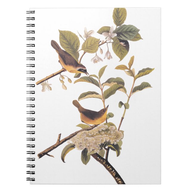 Cuaderno Maryland Yellowneck Aves Audubon en árbol de oliva (Frente)