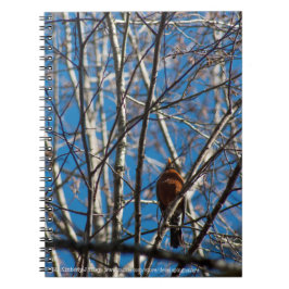 Cuaderno Más arriba