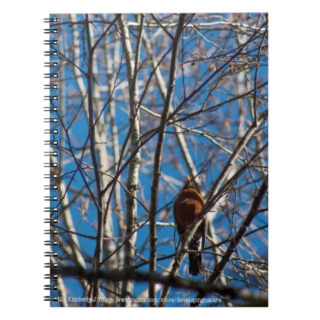 Cuaderno Más arriba (Frente)