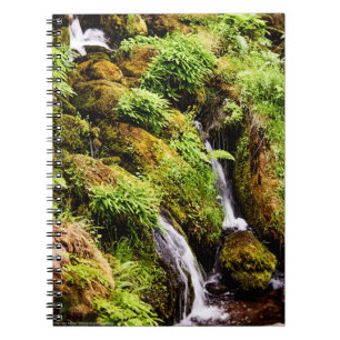 Cuaderno Más y menos