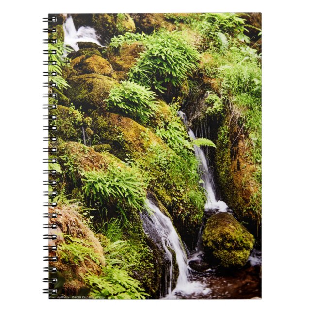Cuaderno Más y menos (Frente)