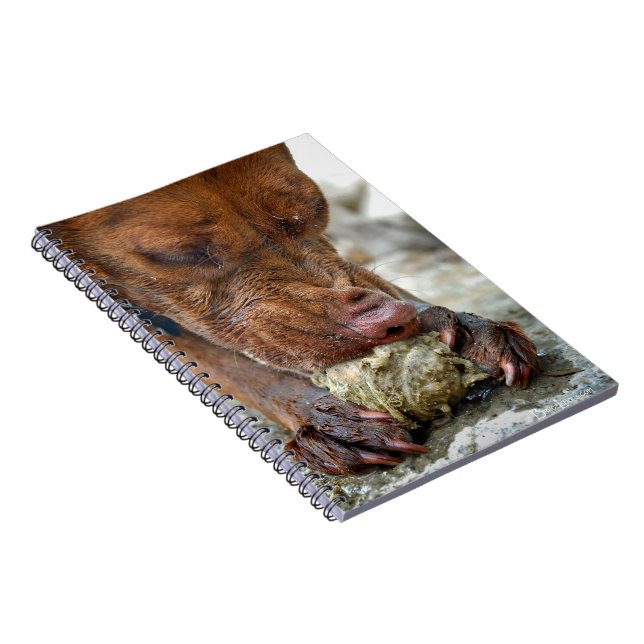 Cuaderno Mascado de perro / Cierre de nariz / Macro (Lado Derecho)