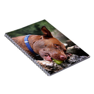 Cuaderno Mascado de perro / Cierre de nariz / Macro 2