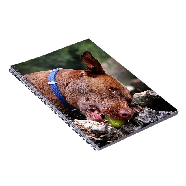 Cuaderno Mascado de perro / Cierre de nariz / Macro 2 (Lado Derecho)