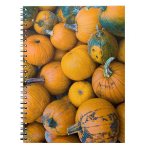 Cuaderno Massachusetts, Salisbury, calabazas, otoño
