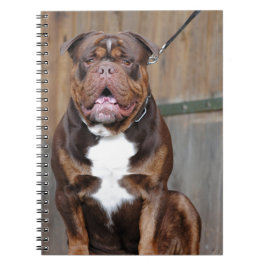 Cuaderno Mastiff de Francia