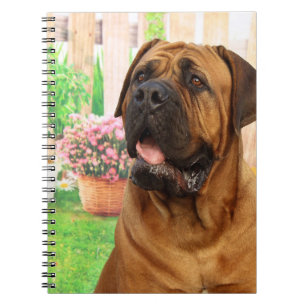 Cuaderno Mastín de Burdeos