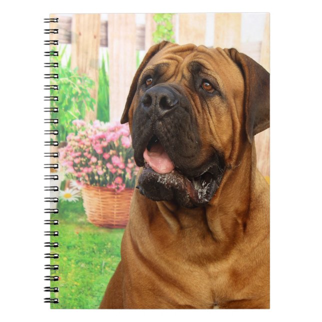 Cuaderno Mastín de Burdeos (Frente)
