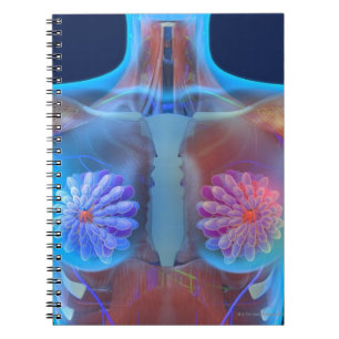 Cuaderno Material gráfico informático que representa el cán