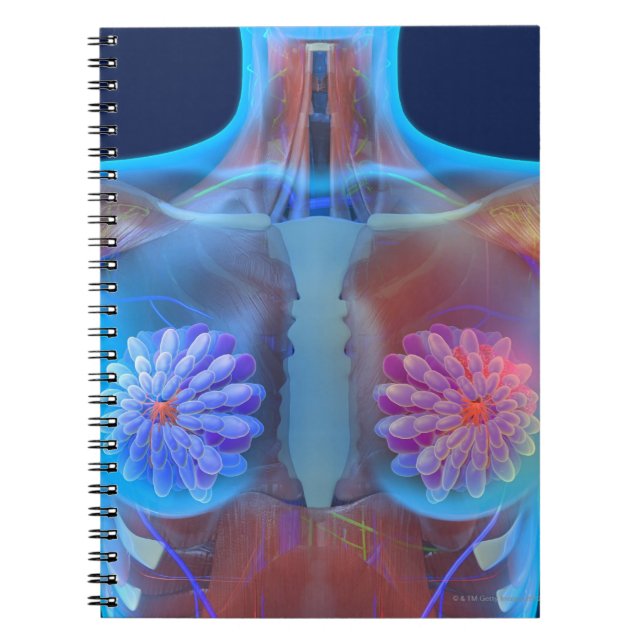 Cuaderno Material gráfico informático que representa el cán (Frente)