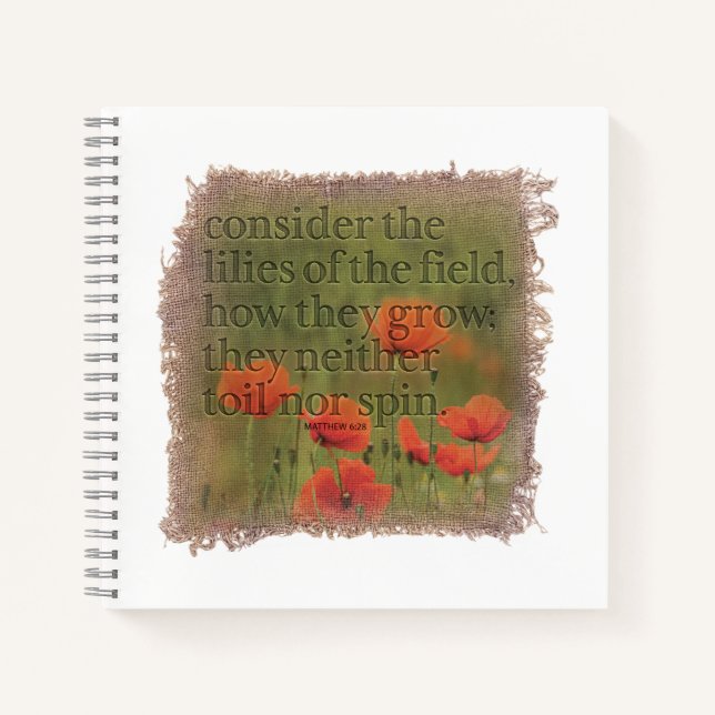 Cuaderno MATTHEW 6:28 Journal (Anverso)