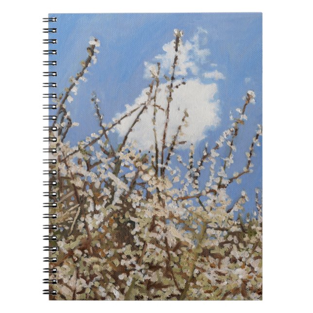 Cuaderno Mayflower 2012 (Frente)