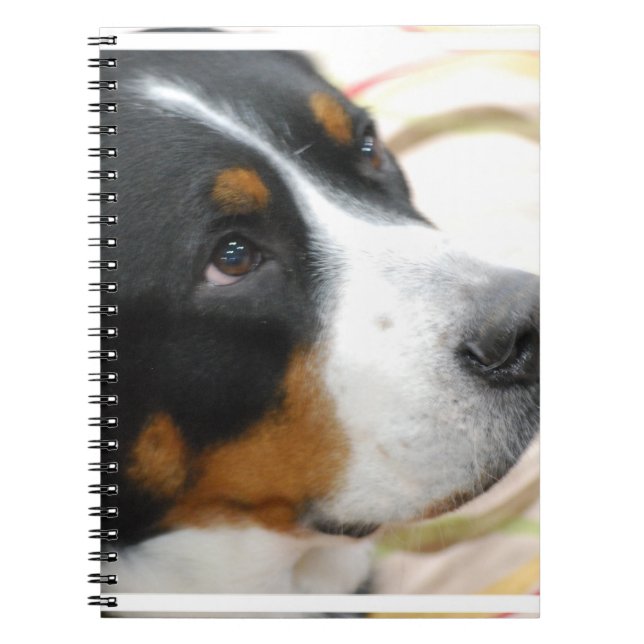 Cuaderno Mayor perro suizo dulce de la montaña (Frente)