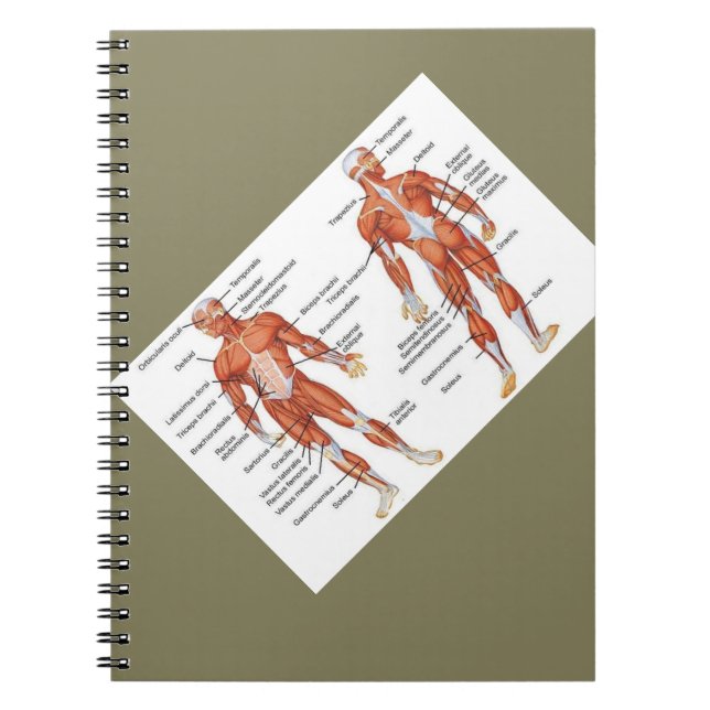 Cuaderno Medgifts101 (Frente)