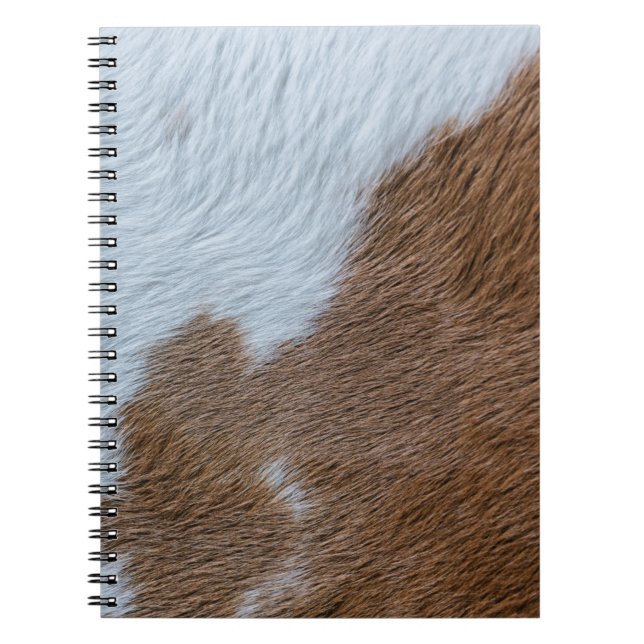 Cuaderno Medio siglo (Frente)