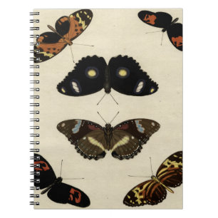 Cuaderno Medley mariposa colorida sobre fondo crema
