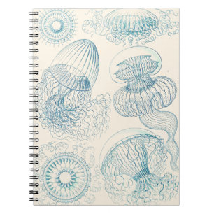 Cuaderno Medusa Ernst Haeckel Arte de Ciencia Antiguo
