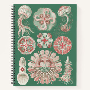 Cuaderno Medusa Rosa Vida Marina Ernst Haeckel Póster Verde