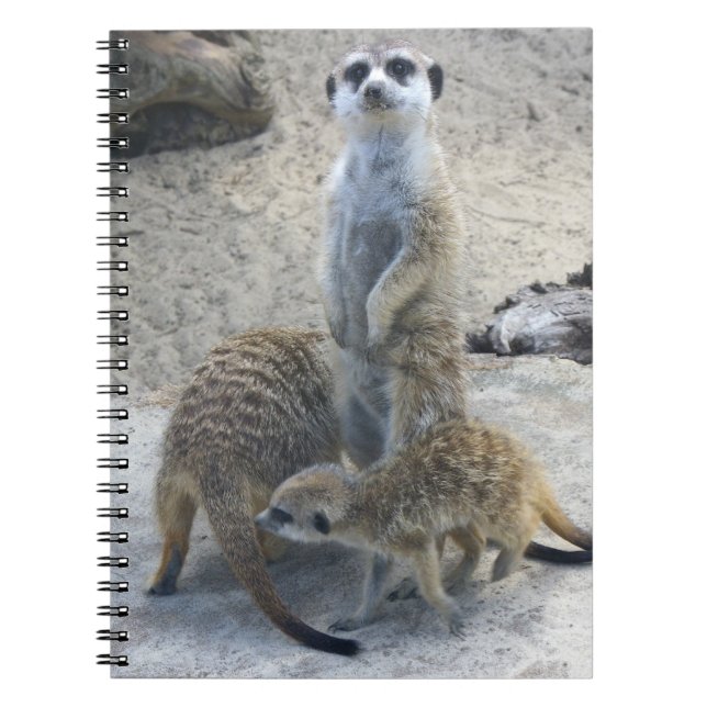 Cuaderno Meerkat (Frente)