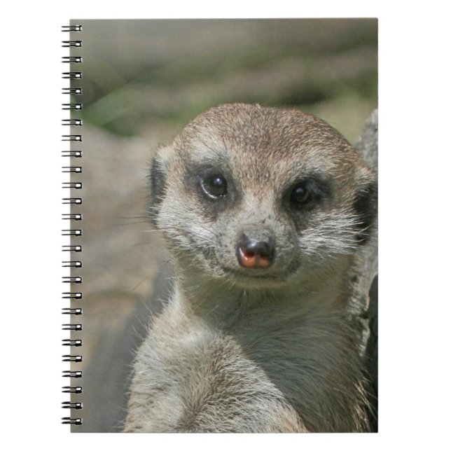 Cuaderno Meerkat 005 (Frente)
