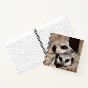 Cuaderno Meerkat 019