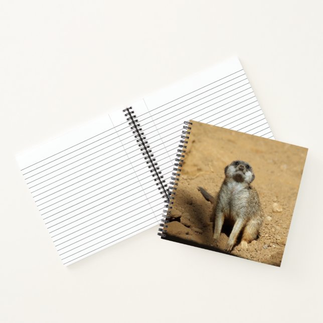 Cuaderno Meerkat 031 (Interior)