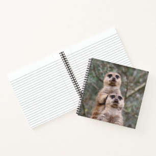 Cuaderno Meerkat 035