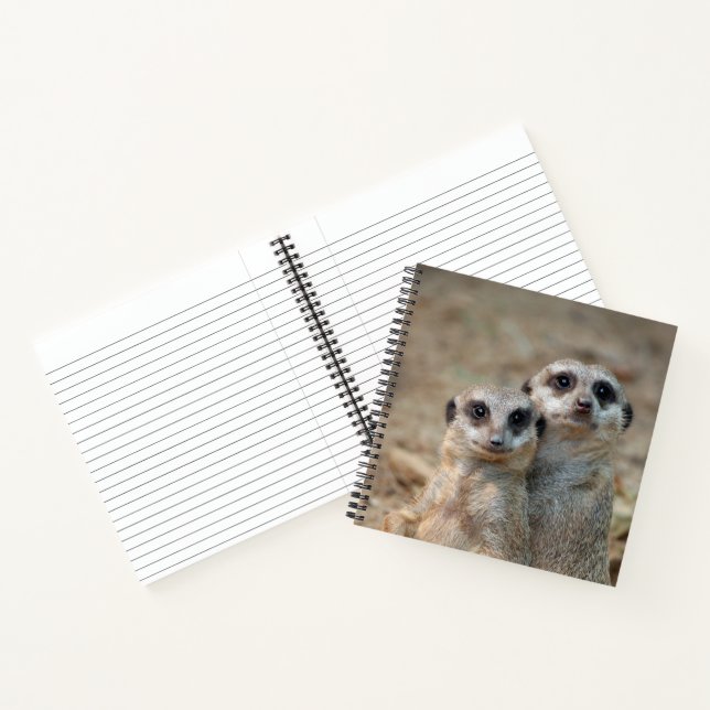 Cuaderno Meerkat 047 (Interior)