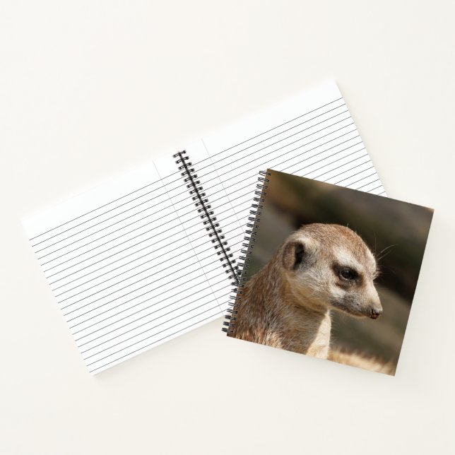 Cuaderno Meerkat 048 (Interior)