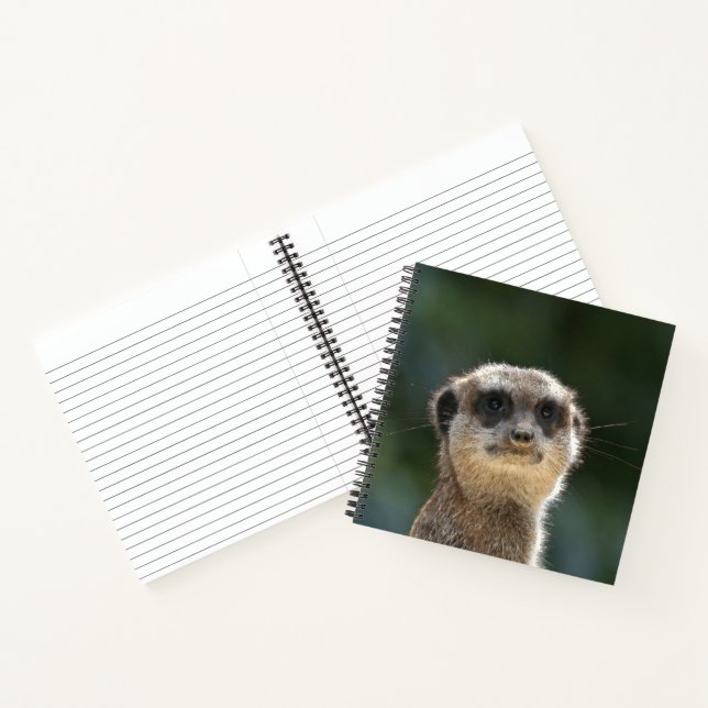 Cuaderno Meerkat 068 (Interior)