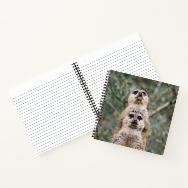 Cuaderno Meerkat 081 (Interior)