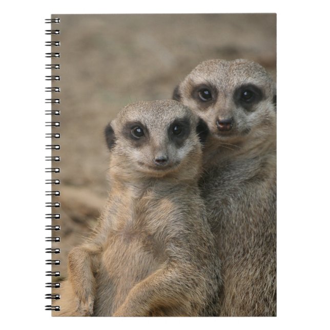 Cuaderno Meerkat 090 (Frente)