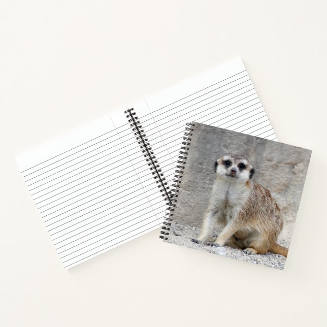 Cuaderno Meerkat 134 (Interior)