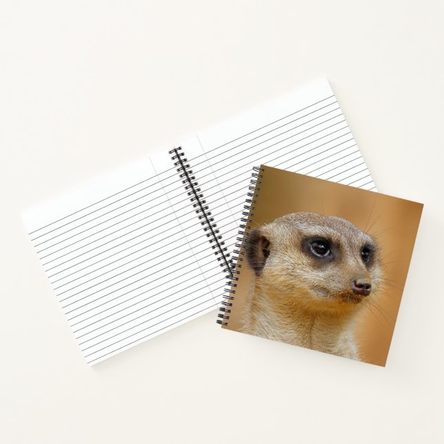 Cuaderno Meerkat 154 (Interior)