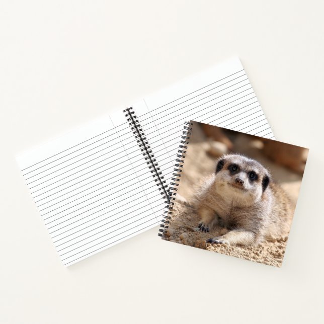 Cuaderno Meerkat 174 (Interior)