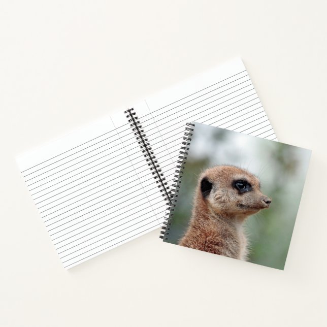 Cuaderno Meerkat 180 (Interior)