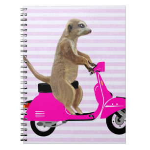 Cuaderno Meerkat en rosa amopado 2