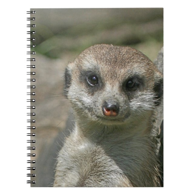 Cuaderno Meerkat-retrato 003 (Frente)