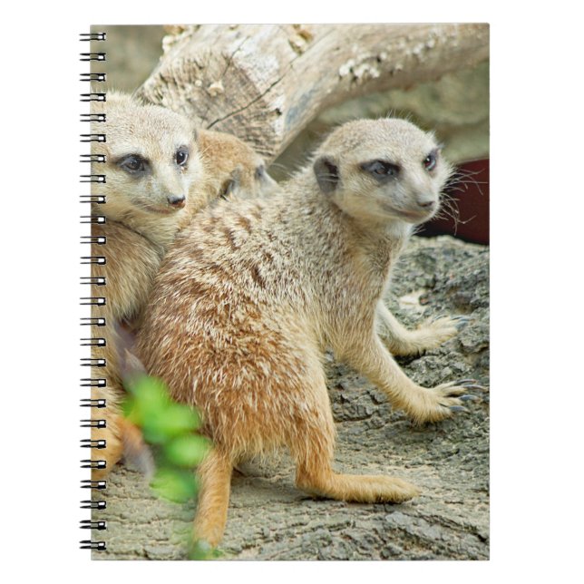 Cuaderno Meerkats - Portátil (Frente)