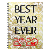 MEJOR AÑO DEL DIARIO 2020 DE Rat NOTEBOOK