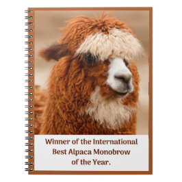 Cuaderno Mejor Ceja Única de Alpaca