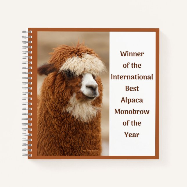 Cuaderno Mejor Ceja Unida de Alpaca (Anverso)