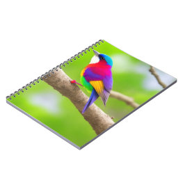 Cuaderno Mejor selección de bloc de notas: donde se encuent