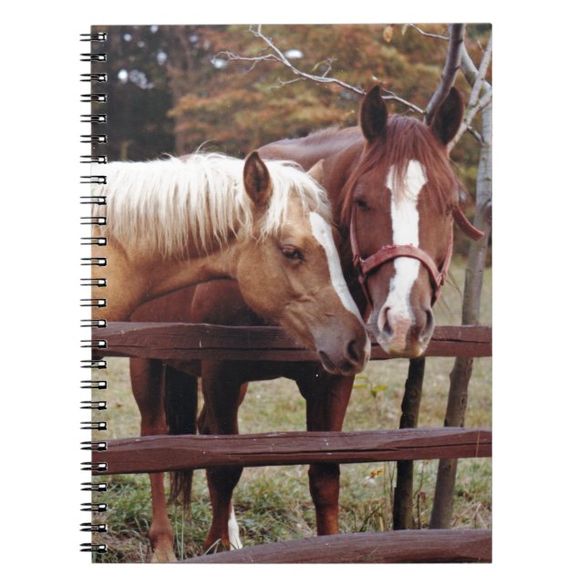 Cuaderno Mejores amigos (Frente)