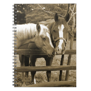 Cuaderno Mejores amigos
